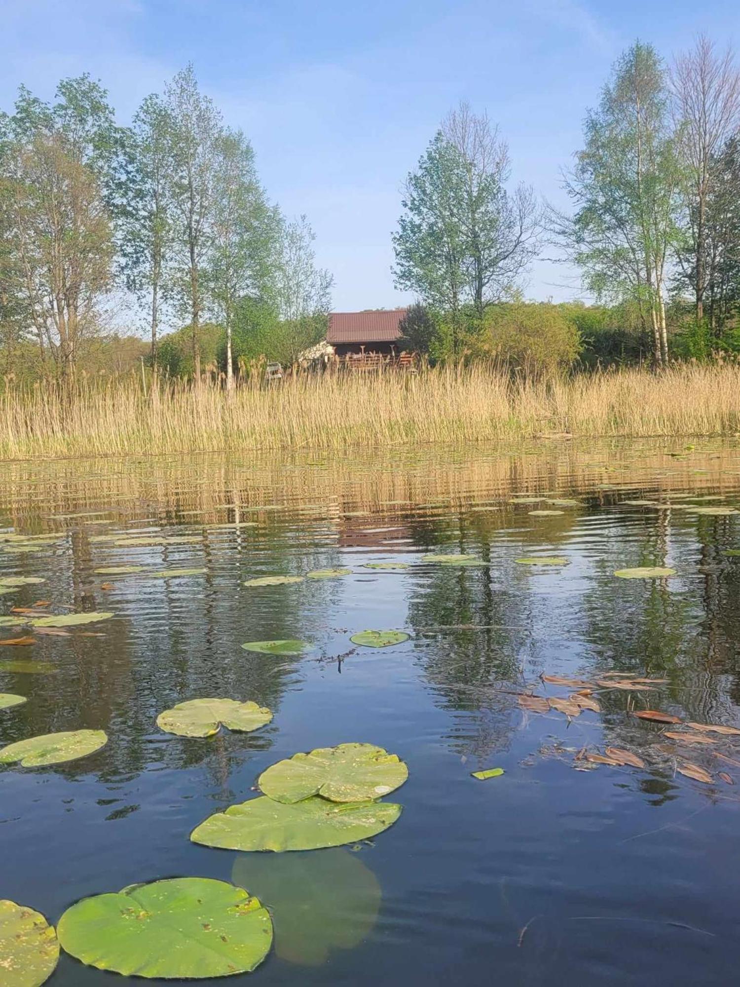 Drewniany domek Żurawi Trakt Zabrsko Dolne Zewnętrze zdjęcie